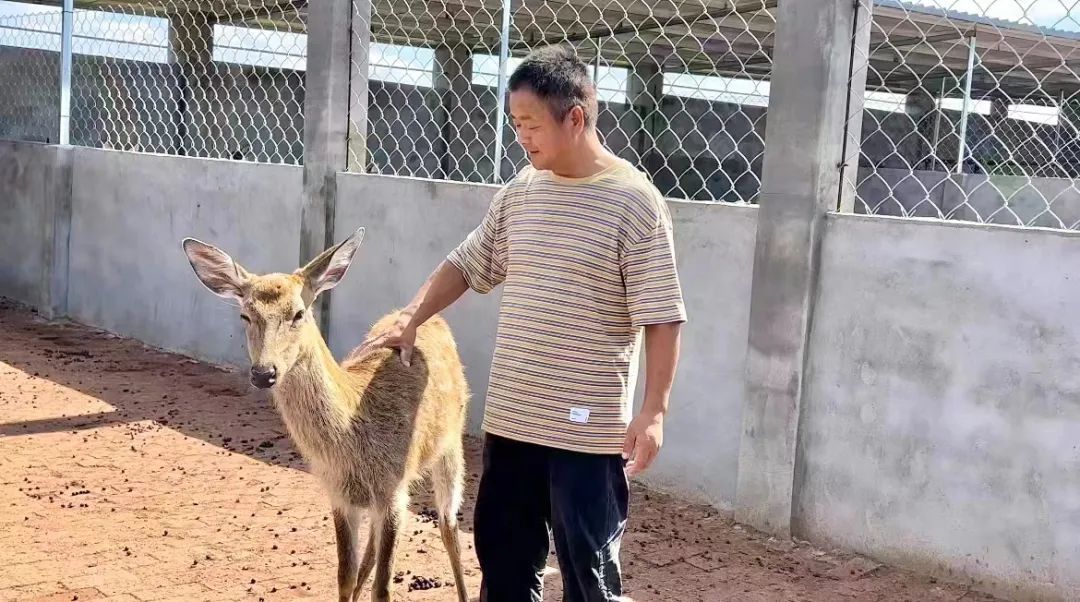 网上百老汇下载